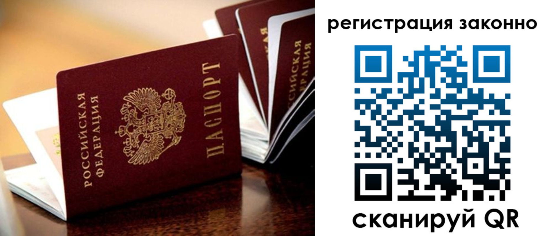 прописка для школы в Полярных Зорях